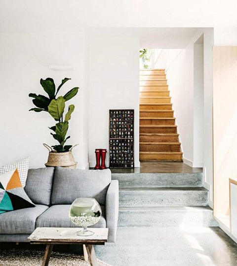 Interior Inspiration — Plants are the new Black